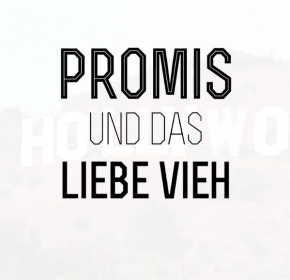 Promis und das liebe Vieh