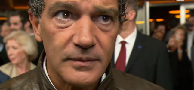 Antonio Banderas im VetiPrax.TV-Interview