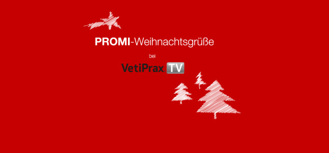 PROMI-Weihnachtsgrüße bei VetiPrax