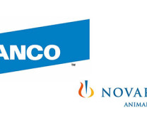 Logos Elanco und Novartis